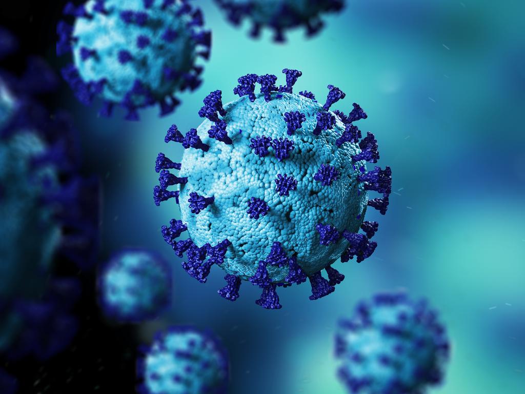 Researchers have found 10,000 viruses “circulating quietly”, and waiting to jump from species to species. Picture: Supplied