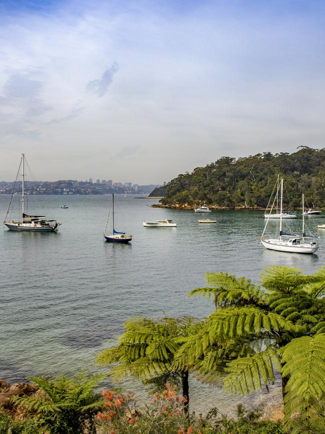 Bradleys Head to Chowder Bay walk. Picture: Destination NSW