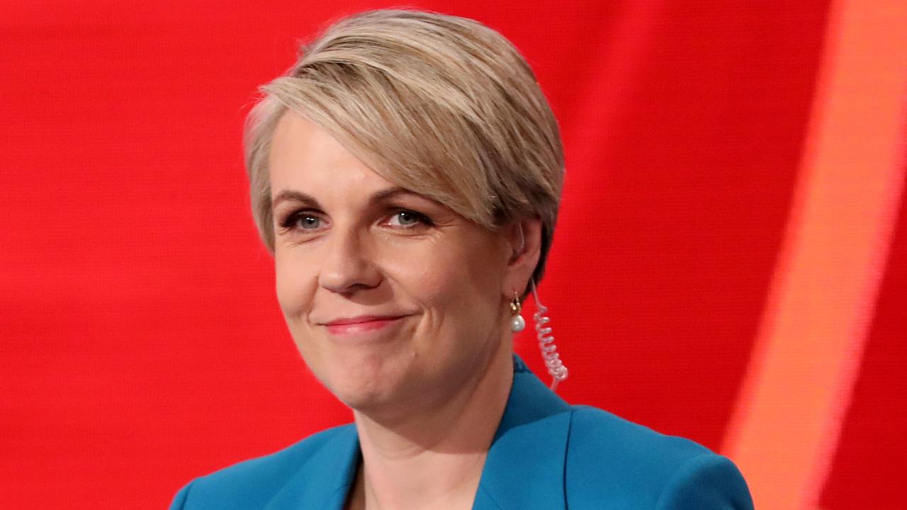 Labor Leadership: Tanya Plibersek Will Not Run To Be ALP Leader | News ...