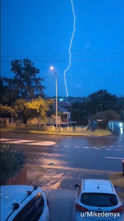 Lightning strikes and falling trees: Storms across SEQ