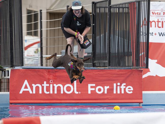 Justice Cameron and Zephyr compete in Dock Dogs at Toowoomba Royal Show, Thursday, April 18, 2024. Picture: Kevin Farmer