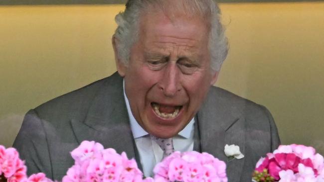 King Charles reacts to Desert Hero winning the King George V Stakes. Picture: Justin Tallis / AFP