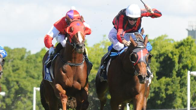 Oink, left, has been popular with punters and will be hard to beat. Picture: Grant Peters, Trackside Photography