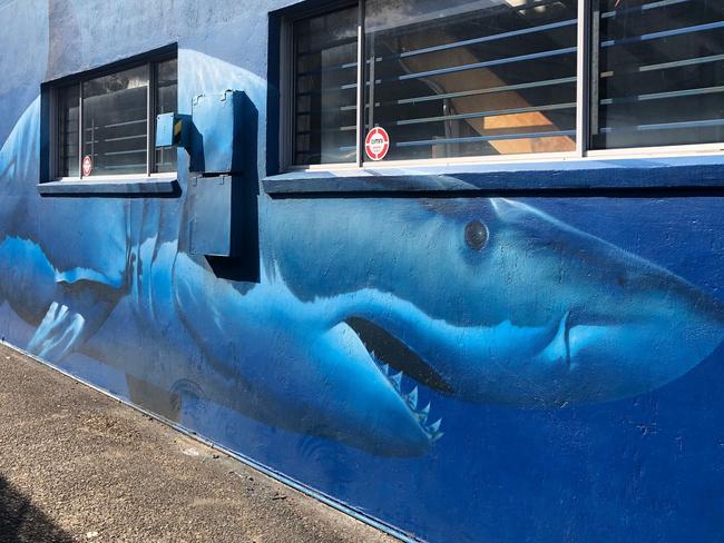 The empty former Sneaky Fisho tackle shop on Pittwater Rd, Brookvale on July 30, 2020. Picture: Jim O'Rourke