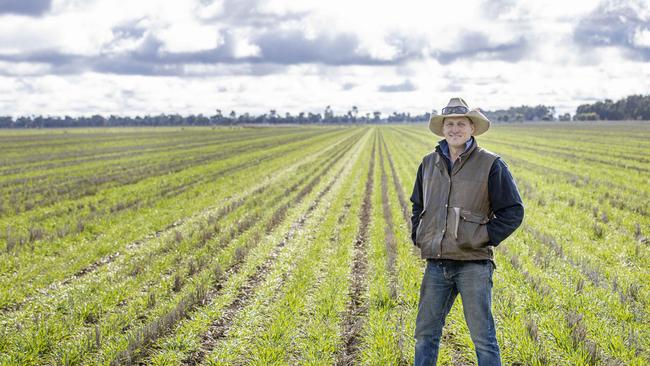 Raywood farmer Dusty Pascoe pictured in a crop of barley. Picture: Zoe Phillips