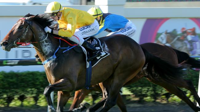 James Orman times Cruising Speed’s run to perfection to get the better of their rivals at Doomben on Saturday. Picture: Mark Cranitch