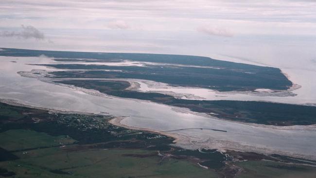 You can see how Snake Island got its name. Picture: Parks Victoria.