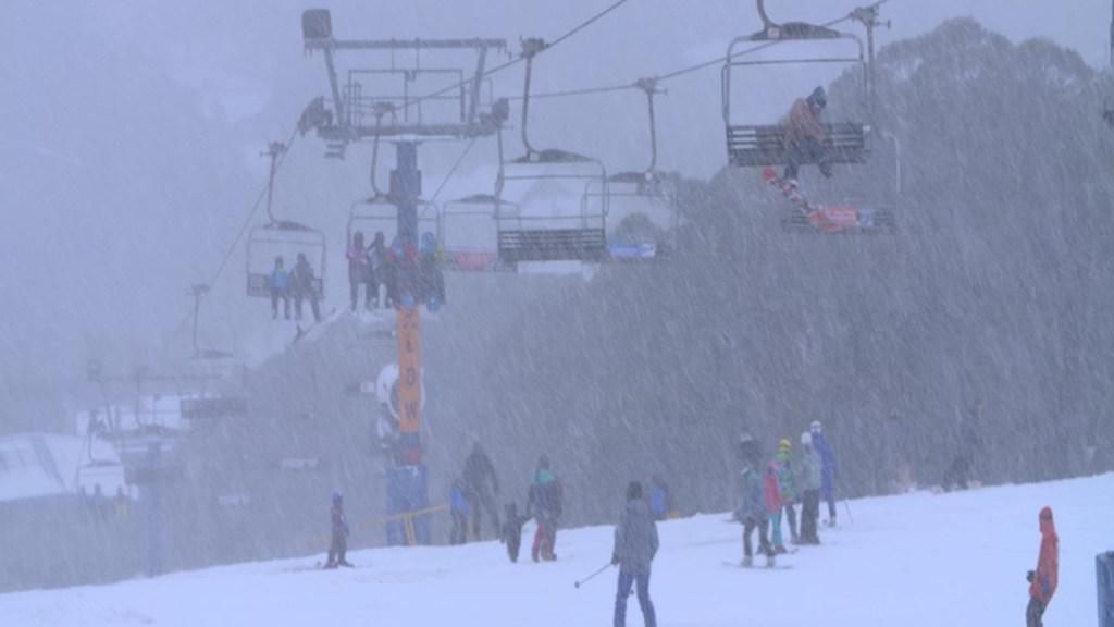 Snow falls at Mt Buller
