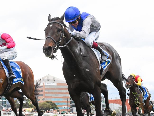 Angel Capital ridden by Ben Melham wins the Sportsbet Caulfield Guineas Prelude at Caulfield Racecourse on September 21, 2024 in Caulfield, Australia. (Photo by Reg Ryan/Racing Photos via Getty Images)