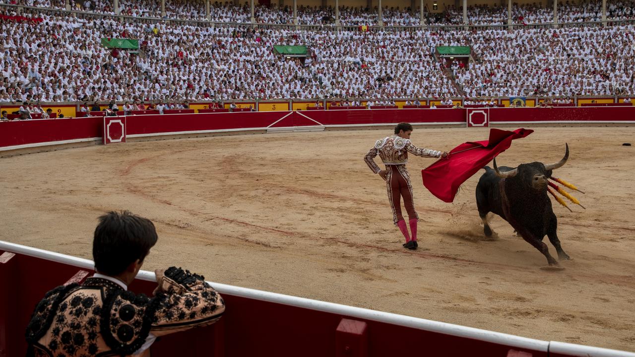 Once the bulls make it to the ring, most end up dying at the hands of a matador. Photo: Pablo Blazquez Dominguez/Getty Images