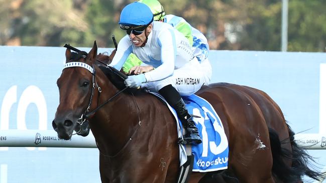 Private Harry, with Ashley Morgan riding, wins the Group 1 The Galaxy at Rosehill Gardens in March. Picture: Jeremy Ng / Getty Images