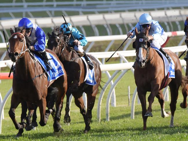 Winx wins George Main Stakes; streak extended to 27 consecutive wins ...