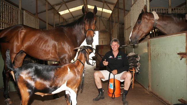 Terry Evans and his 15 racehorses have managed to escape the fires in Tuncurry. Picture: Peter Lorimer