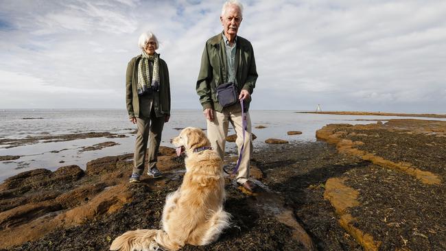 Sue and Ted Whittle are among pet owners told to steer clear of the bay after their dog Mia got two serious infections. Picture: Valeriu Campan