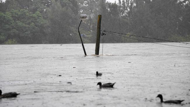 A flooded park near the Nepean River on Sunday afternoon.