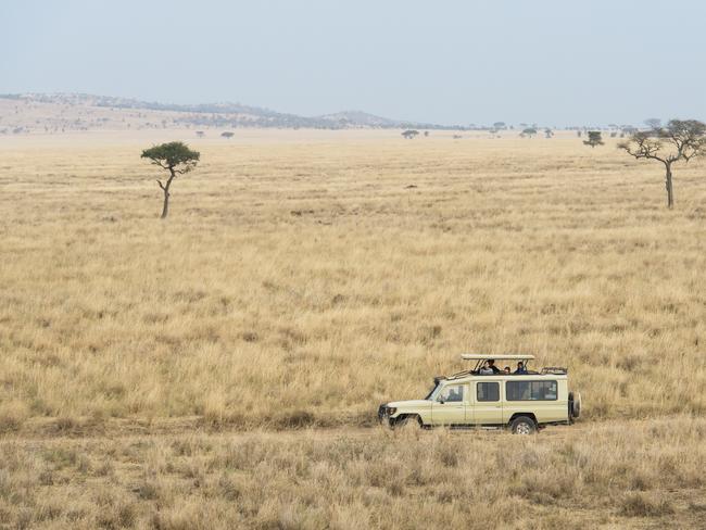 Serengeti National Park is a Tanzanian national park in the Mara Region. Picture: Getty Images.