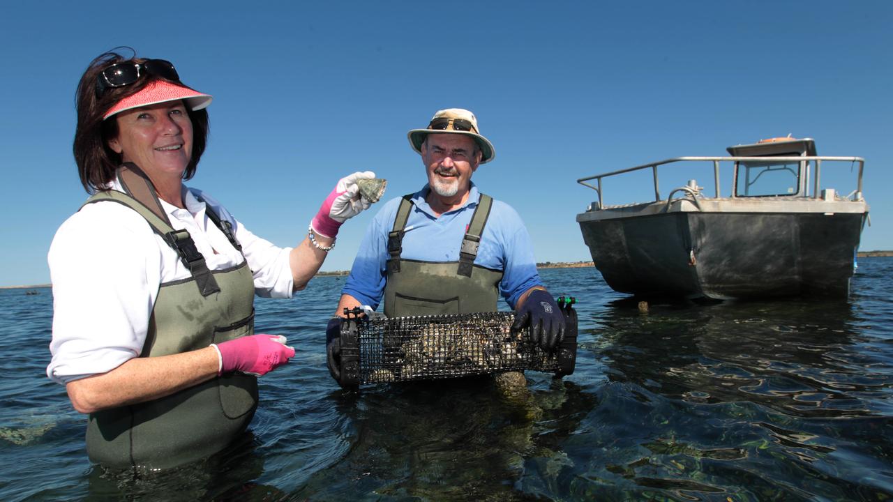 Gerri and Steve Bowley, have operated oyster leases at Stansbury for the past 7 years, but has been forced to close as toxic algae spreads.
