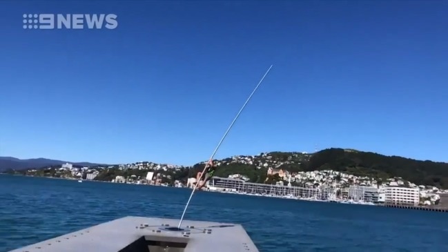 Man breaks $NZ1m sculpture (9News)