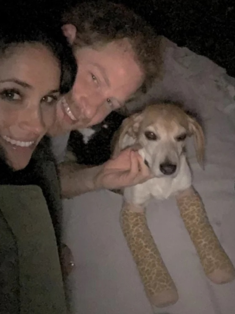 Meghan Markle's dog Guy has died. Picture: meghan/Instagram