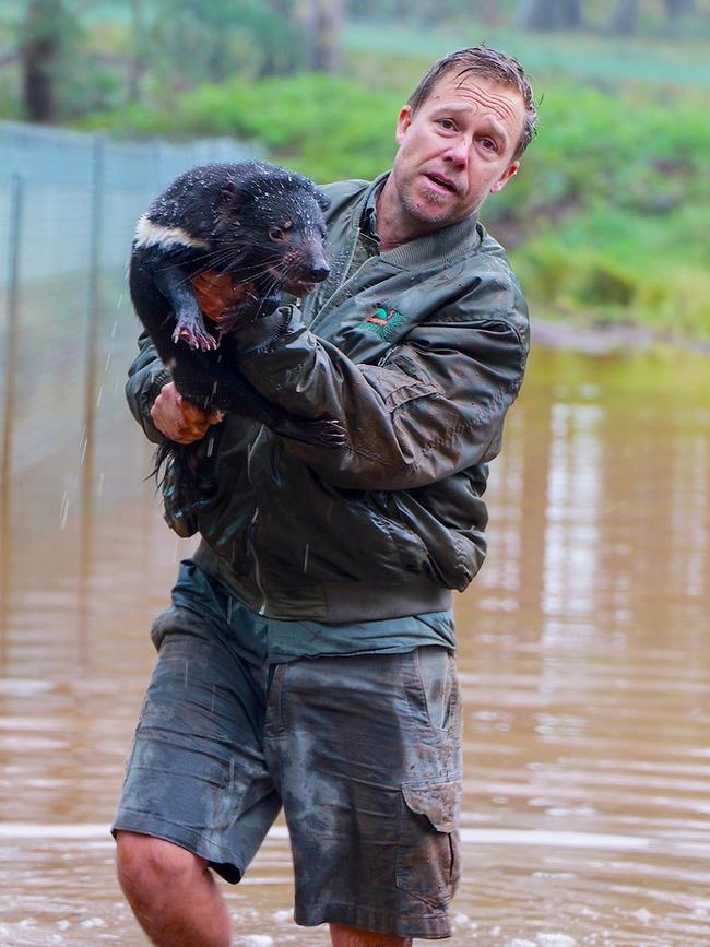 Tim Faulkner managing director Aussie Ark rescuing a Tasmanian devil from flood waters that have inundated Aussie Ark home to the largest mainland breeding program of Tasmanian devils located at Barrington Tops New South Wales. Picture: Aussie Ark
