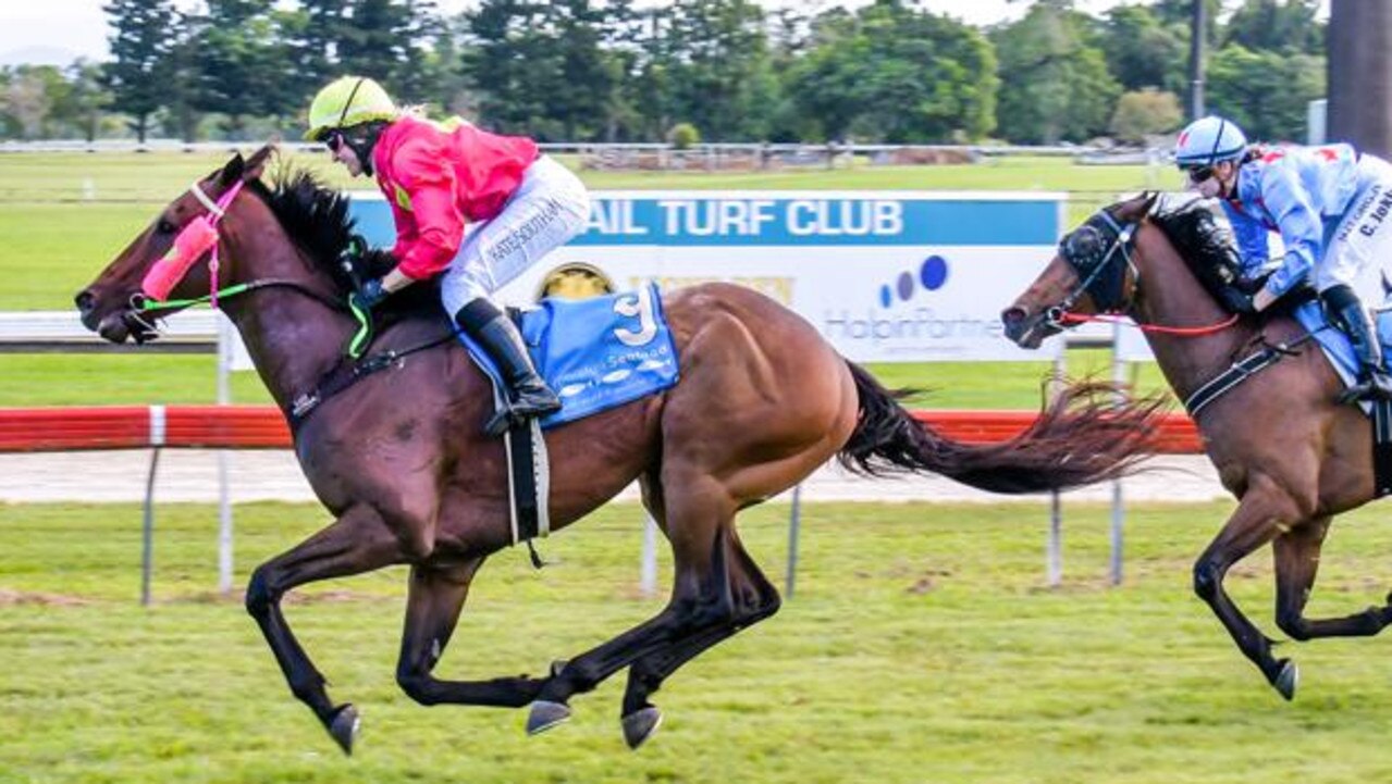 Cairns Cup racing Sharlee Hoffman confident in Maquereau The Cairns Post