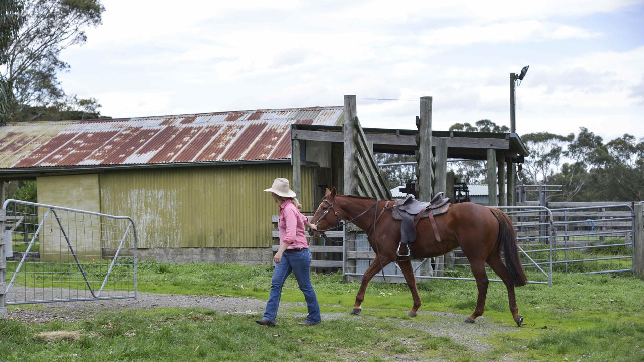 Claire Templeton, 25, Nar Nar Goon, with her new stock horse Lulu. Photo: DANNIKA BONSER