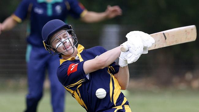 Jaylen Johnston batting for Central Coast. Picture: John Appleyard