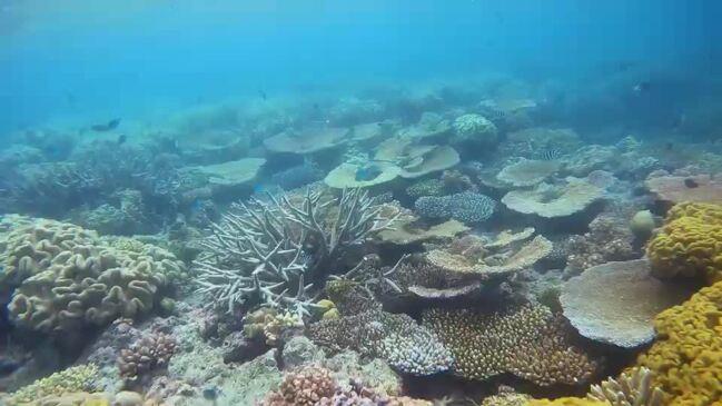 Great Barrier Reef after Tropical Cyclone Jasper