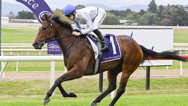 Queen's Rhapsody is looking to make it back-to-back wins when she steps out at Newcastle. Pucture: Bradley Photos