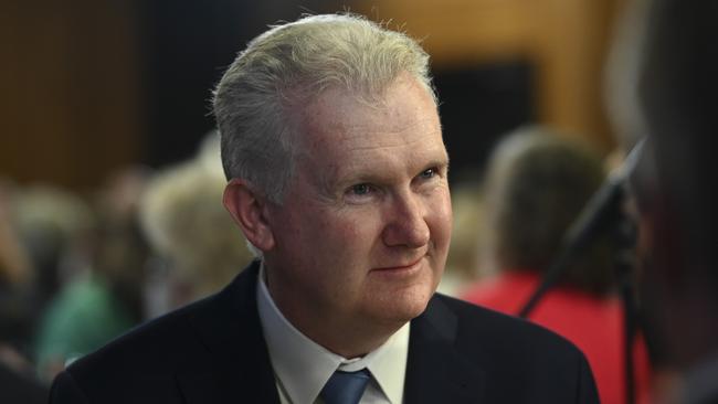 Industrial Relations Minister Tony Burke. Picture: NCA NewsWire / Martin Ollman