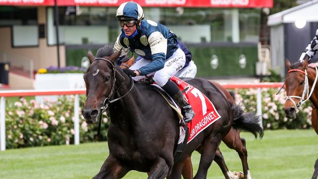 Sir Dragonet looks set for a successful autumn carnival. Picture: Getty Images