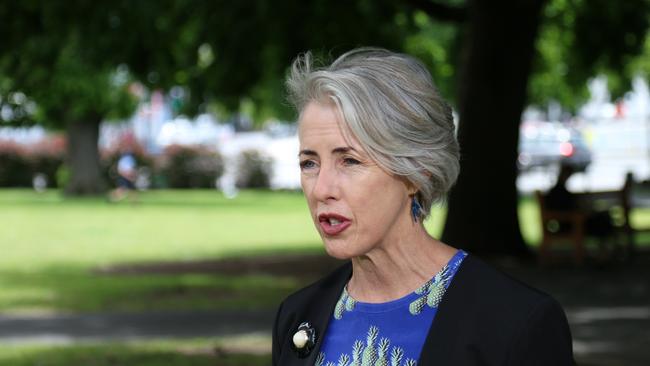 Greens MP Rosalie Woodruff speaks to the media on Parliament Lawns in Hobart on Thursday, November 24, 2022.