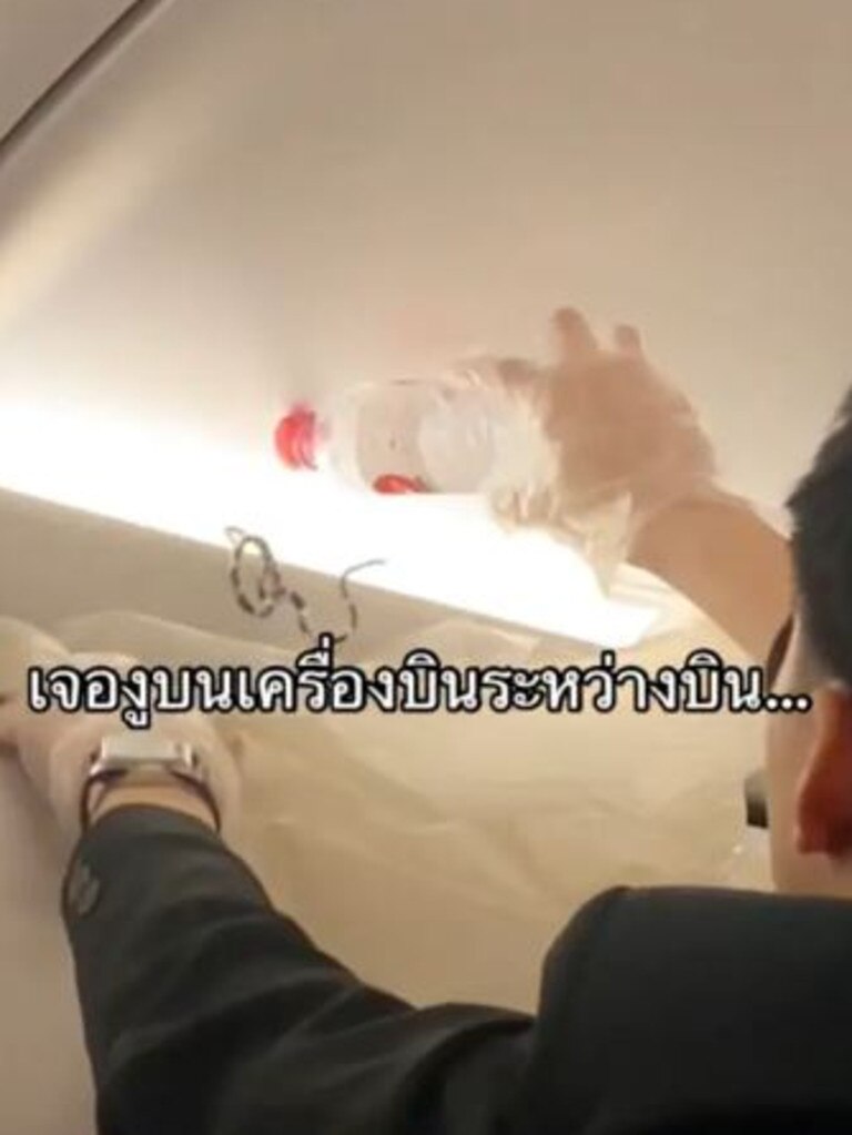 A flight attendant used a plastic bottle to coax the snake into a plastic bag. Picture: Supplied
