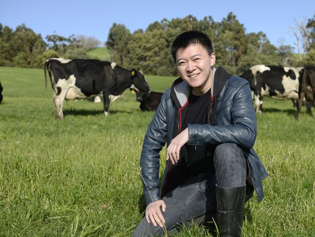 Chinese listed company DFP Australia has bought two farms, one at Poowong and one at Athlone. Pictured is general manager Roy Wang at the Poowong Farm.