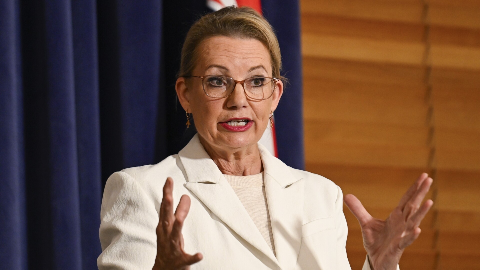 Pauline Hanson believes Sussan Ley will be ‘replaced’ before the next election