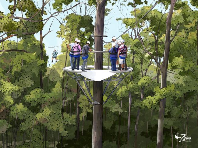 The zipline project would include treetop canopy tours.