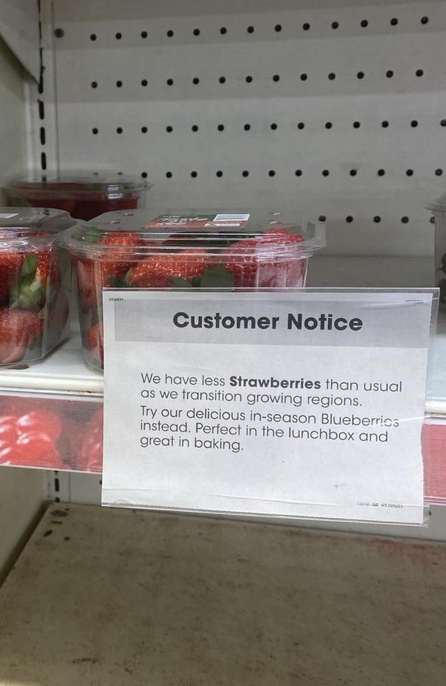 Coles and Woolworths have confirmed strawberry ‘prices are higher than usual’ due to ‘adverse’ conditions. Picture: news.com.au