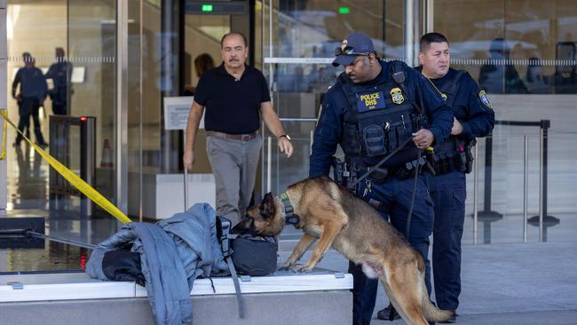 A Department of Homeland Security police K-9 unit checks out a bag outside the Los Angeles courthouse where Hunter Biden pleaded not guilty to tax fraud charges. Picture: AFP