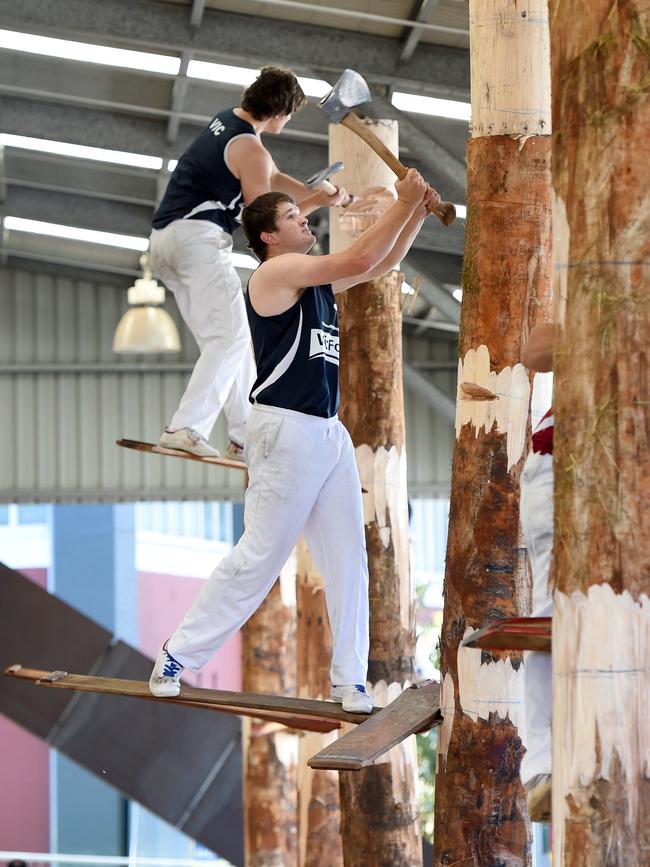 The Melbourne Royal Show woodchop has been a feature of the event for more than 100 years. Picture: Zoe Phillips