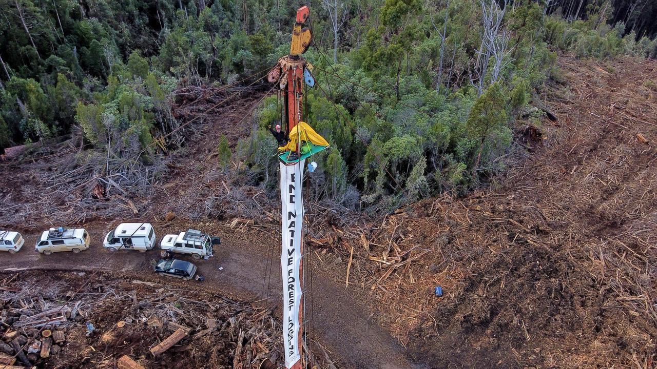 Tensions between the Huon Valley logging industry and the Bob Brown Foundation had been high ever since the May forestry coupe protest pictured above. Picture: BBF.