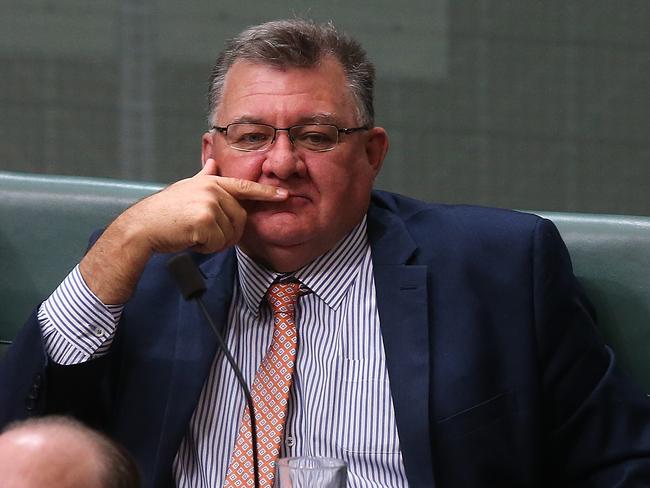 Liberal backbencher Craig Kelly, chair of the Coalition’s energy and environment committee, in Question Time today. Picture Kym Smith