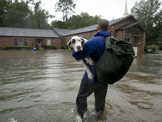 Josh Benoit carries his Great Dane, Lilly, out of the flood on Tram Road after being rescued by boat from his home in Beaumont, Texas, after Tropical Storm Harvey on Wednesday Aug. 30, 2017. Picture: AP
