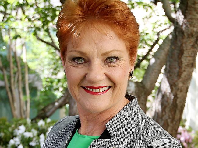 Senator Pauline Hanson at Parliament House in Canberra.