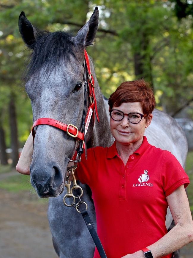 Classique Legend with stable foreman Carmel Size. Picture: Toby Zerna