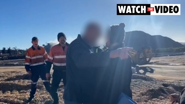Tasmanian forestry protester allegedly knocked over by wood chipping plant worker
