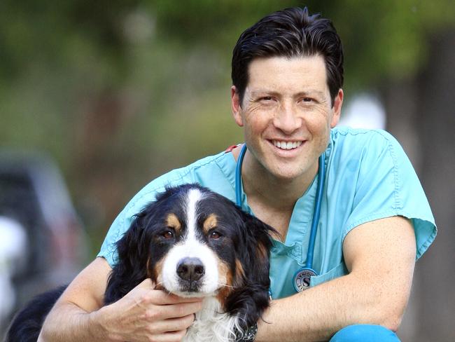 Vetinary surgeon Dr Chris Preston with Bailey the Burmese Mountain dog who will be having a bone marrow transplant.