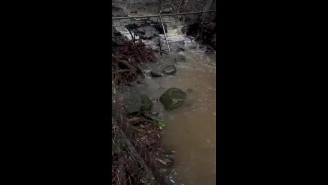 Heavy Rainfall Floods Byron Bay Wildlife Sanctuary | news.com.au ...