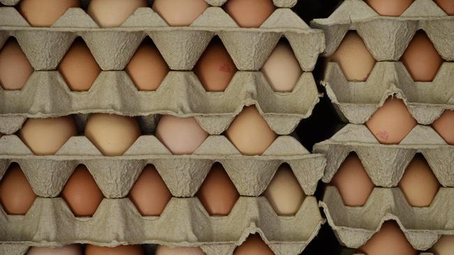 Why major egg farm plans to build new workers’ accommodation