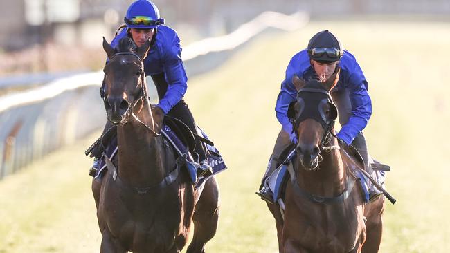 Fred Kersley rising Victoria Derby contender Character during trackwork at Flemington. Picture: Michael Klein