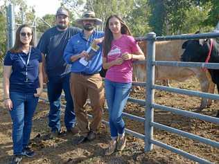 GREEN DREAM: Molly Austin, Bruno Roman Aguilar and Cheyenne Maese from New Mexico State University with CQUniversity Associate Professor in Precision Livestock Mark Trotter. Picture: Jann Houley